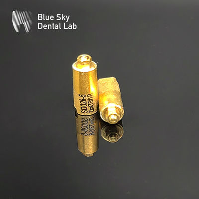 Blue Sky Zimmer 3.5 Scan Badan 4.5 Zimmer Implant Scan Badan 3D Scanning